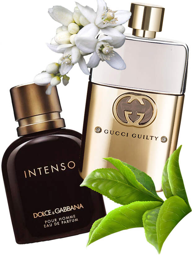 главный парфюмерий