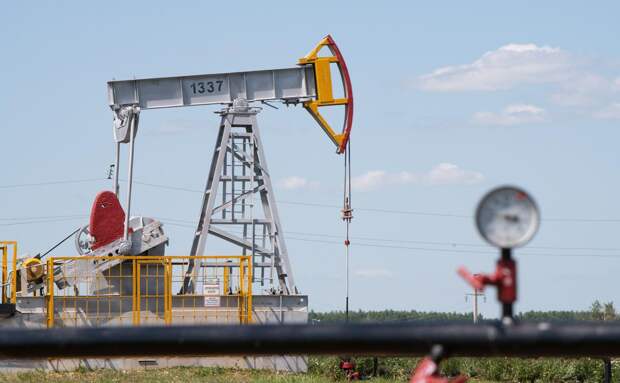 Фото: Александр Манзюк / ТАСС