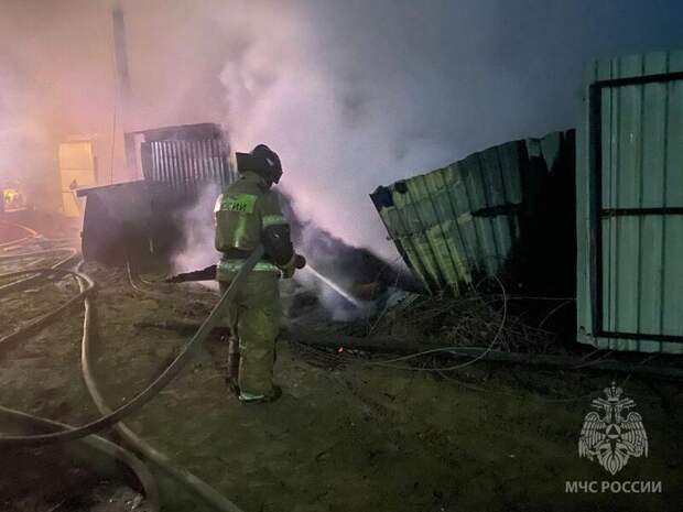 Фото: МЧС Алтайского края