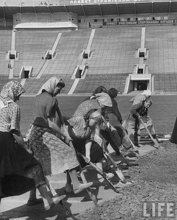 ByLarsen20 Москвички в 1956 году
