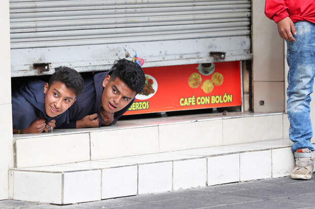 Любопытствующие Любопытствующие