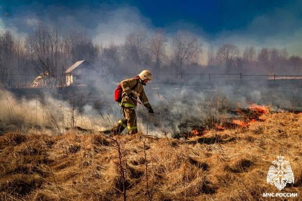 Пал травы и костры на природе запрещены в Смоленской области