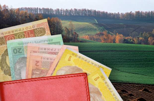 Украина раскроет информацию о сделках с землей