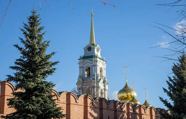 Шаманаев проследит за порядком в Туле 2 мая