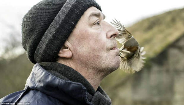Настоящий Доктор Дулиттл: как британец стал повелителем диких птиц