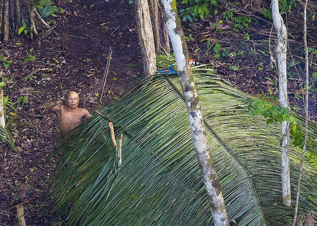 10 сенсационных фото изолированного племени, которое не знает о нас