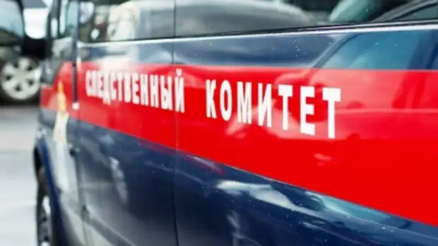 В Челябинской области проводят проверку по факту травмирования трёхлетнего ребёнка