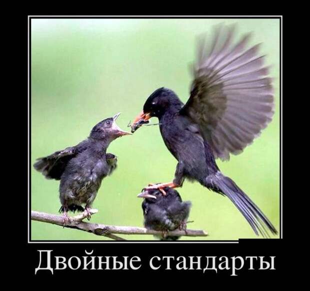 Демотиваторы (30 фото)