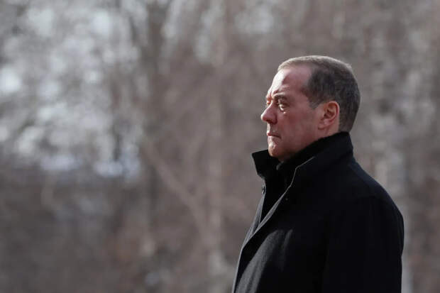 Медведев: хватит толерантно относиться к вступлению наших соседей в Евросоюз