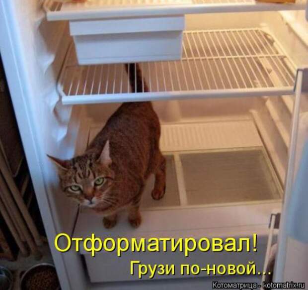 Котоматрицы (картинки с надписями)