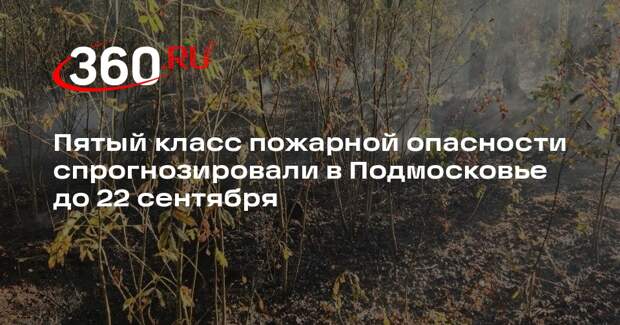 Пятый класс пожарной опасности спрогнозировали в Подмосковье до 22 сентября