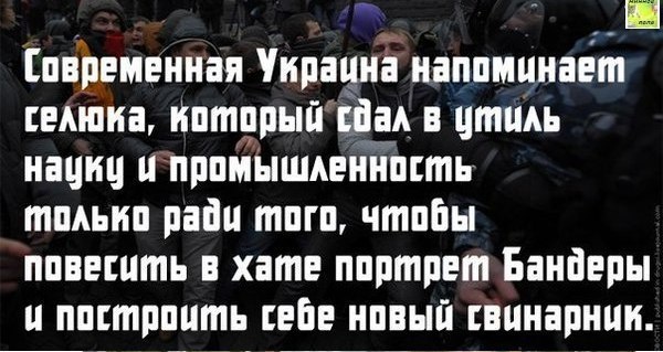 Украинская эрзац-элита в поисках страны