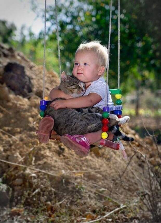 Котики