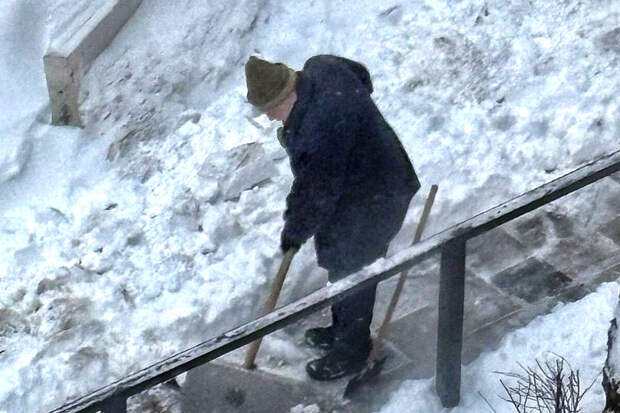 Режиссер "Ежика в тумане" Юрий Норштейн убрал снег возле дома