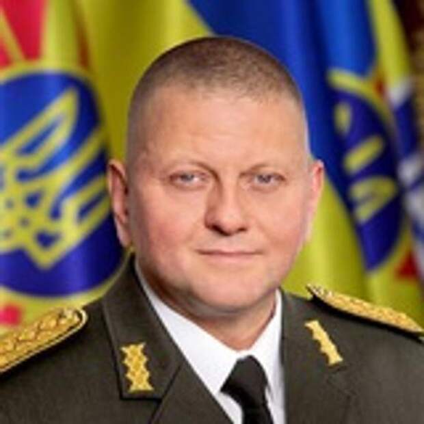 Залужный намерен завещать возвращение неподконтрольных Киеву территорий сыну