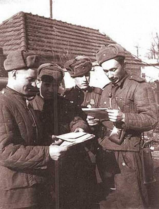 Фронтовые фотографии Алексея Макаровича Смирнова Фронтовые фотографии Алексея Макаровича Смирнова