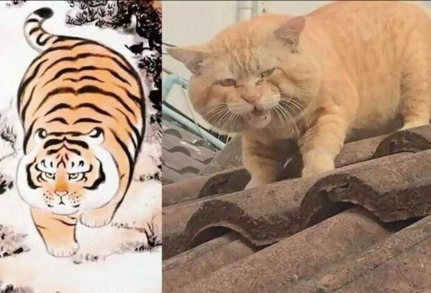 Тигра лютая