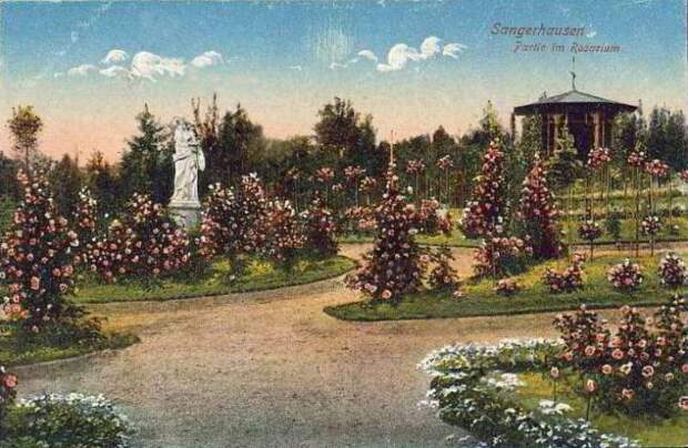 rosarium_europa_009.jpg
