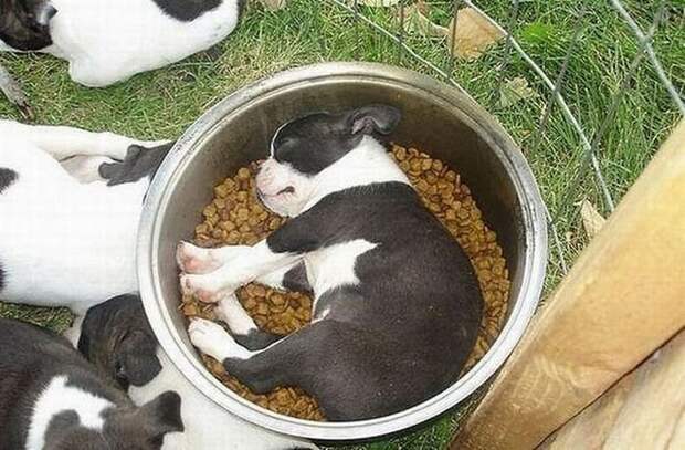 Прикольные картинки
