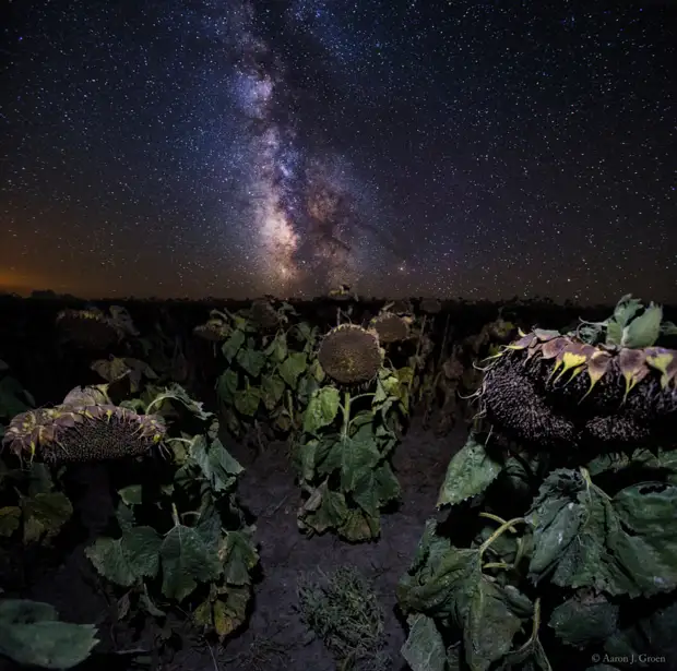 Plants Vs Milky Way by Aaron Groen on 500px