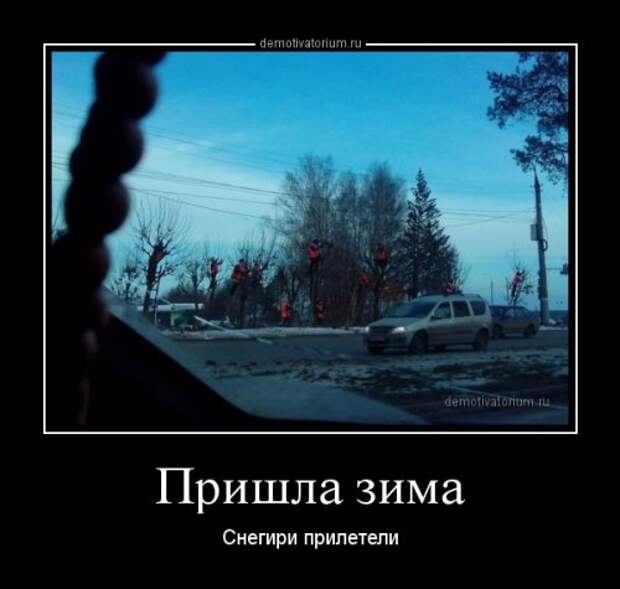 Демотиваторы-новинки (18 шт)