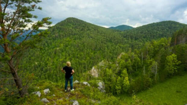 Горы Алтая / Фото: amic.ru        