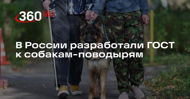 В России разработали ГОСТ к собакам-поводырям