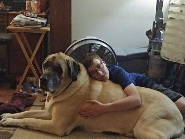 Даже подушка не нужна, да и одело тоже
