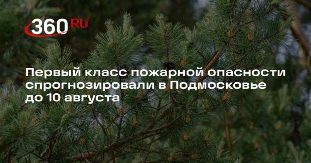 Первый класс пожарной опасности спрогнозировали в Подмосковье до 10 августа