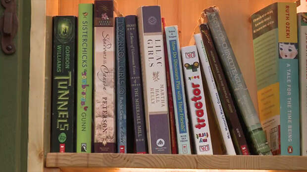 https://img.lifter.world/data/2019/jan/164/dead-tree-little-free-library-sharalee-armitage-howard-26.jpg