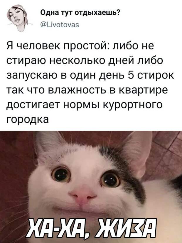Смешные картинки 27 сентября 2021 года