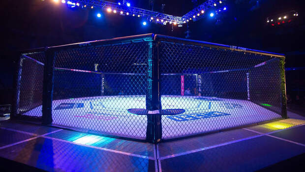 Боец MMA Билостенный  о судьях: мне кажется, они русофобы