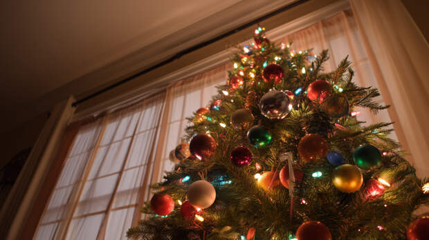 Когда нужно убирать новогоднюю елку — отвечает мастер фэн-шуй