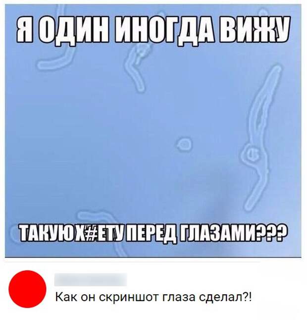 Смешные картинки с надписями для улыбок и веселья (11 фото)