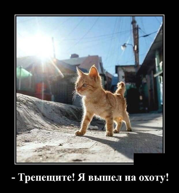 www.vsyako.net