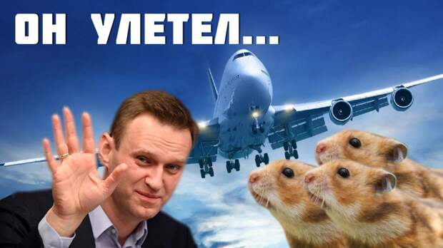 навальный улетел copy.jpg