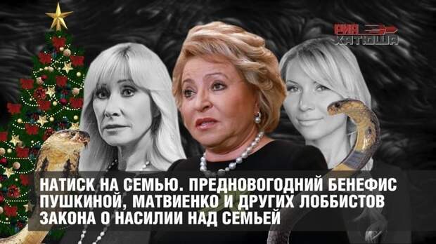 Предновогодний бенефис Пушкиной, Матвиенко и других лоббистов закона о домашнем насилии
