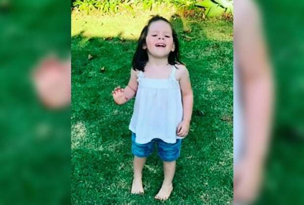 Трехлетняя девочка потерялась в лесу; полицейская операция не принесла результата. Спасителем малышки стал старый полуслепой пес