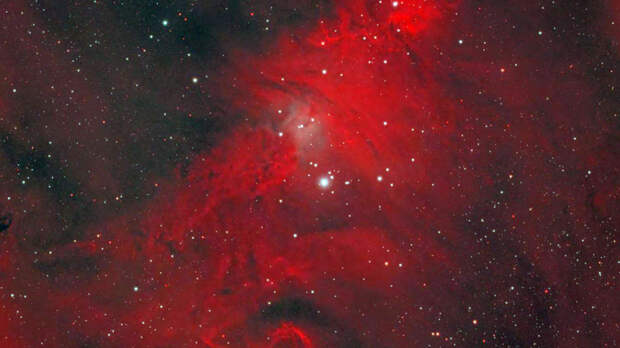 Роскосмос показал фото красной "Рождественской елки"