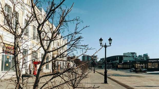 Жара и небольшие дожди. Какая погода ждет Алтайский край 23 апреля