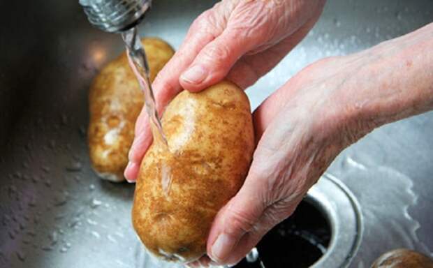 Берем картошку и хорошенько моем. /Фото: dachaa.ru.
