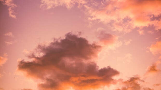 Такой день. Красная дорожка Шукшинского кинофестиваля и участок под многоэтажку