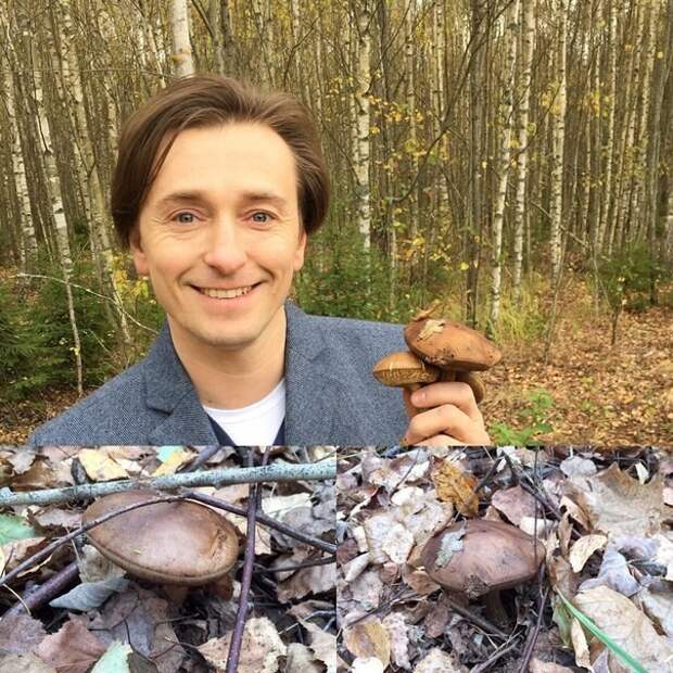 Актер, Сергей Безруков, на фоне берёзок! грибы, знаменитости, лес, осень