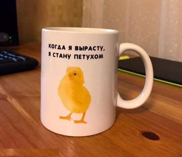 Прикольные картинки (15.12.16)