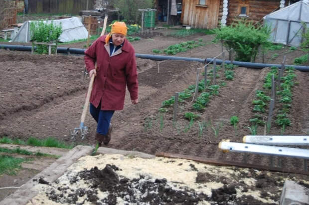 Юрист Яковлева напомнила о новом штрафе для дачников с 1 марта