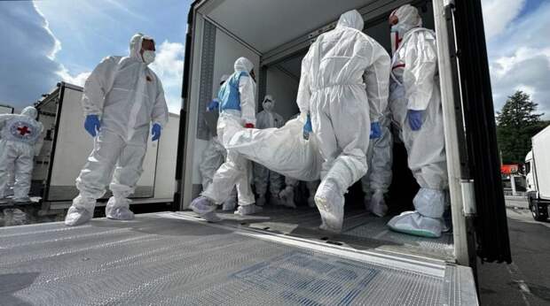 Путин сообщил Трампу о передаче Украине более 20 тыс. тел военных в обмен на 500