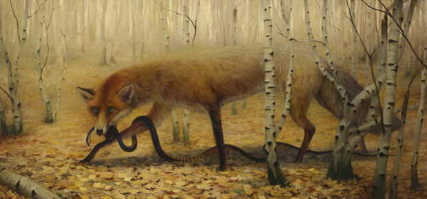 Мечтательные картины Martin Wittfooth Мечтательные картины Martin Wittfooth