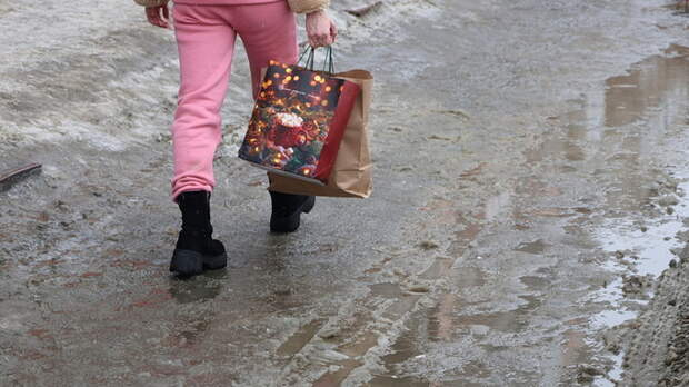 Оттепель в феврале в Барнауле / Фото: amic.ru