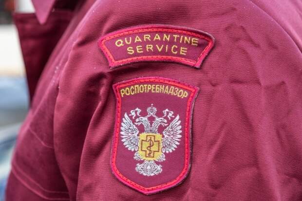 В России не зафиксировали случаев завоза вируса Коксаки