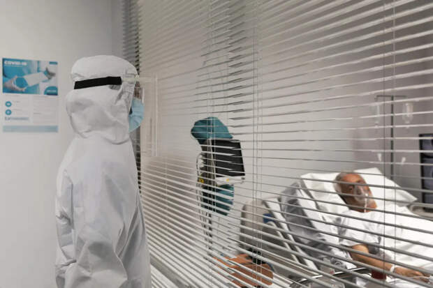 Симптомы обезьяньей оспы: эпидемиолог Онищенко рассказал, как распознать болезнь